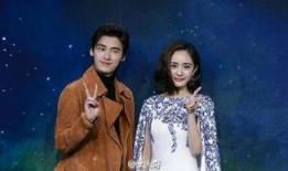 杨幂陈伟霆最新爆料,揭秘幕后故事与情感纠葛