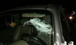 车窗抛物爆料视频下载安装,下载安装视频见证文明出行